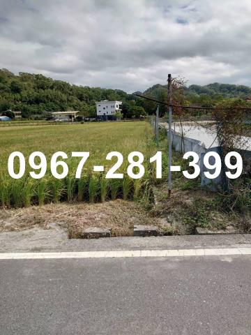 頭屋農地-1