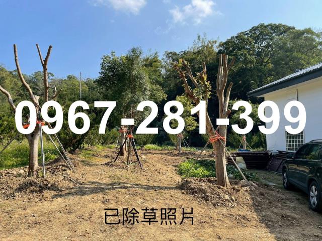 頭份農地-9