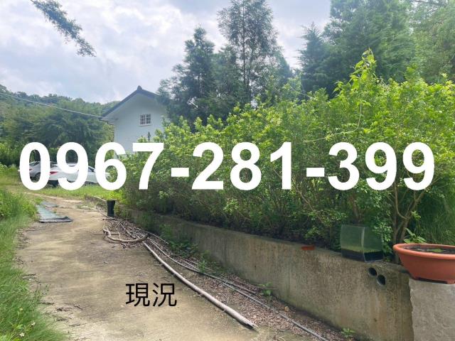 頭份農地-6