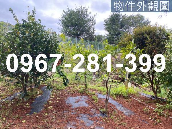 頭份農地-5