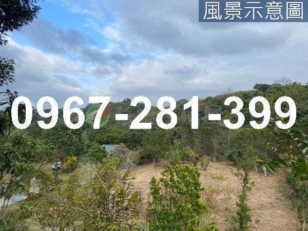 頭份農地-6