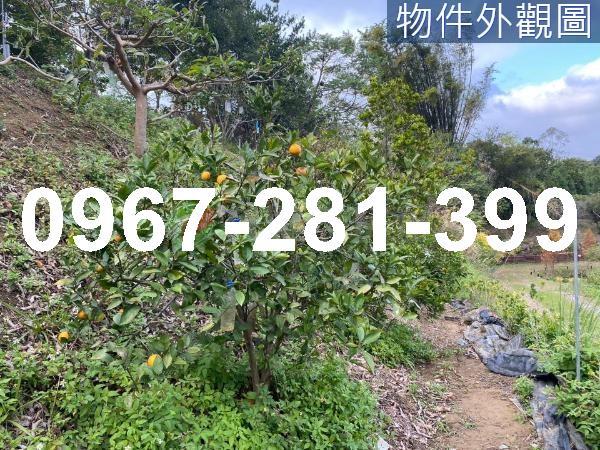 頭份農地-7