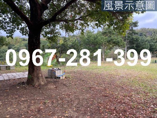 頭份農地-8