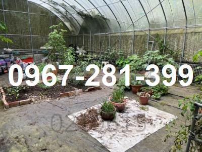 苗栗南庄農地-3