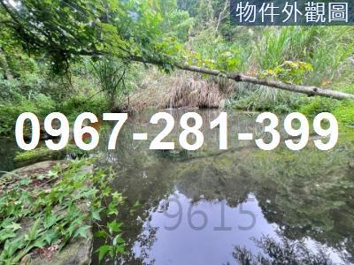 苗栗南庄農地-4