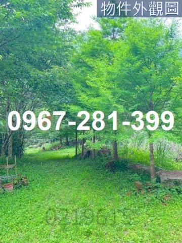 苗栗南庄農地-5