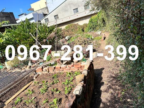 苗栗通霄建地-0