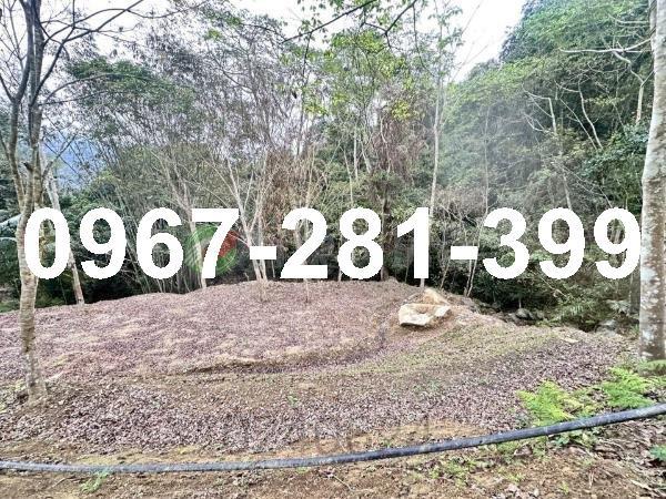 苗栗南庄農地-0