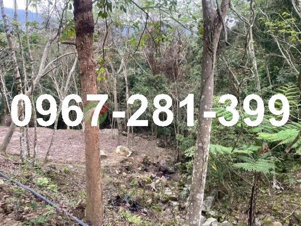 苗栗南庄農地-1