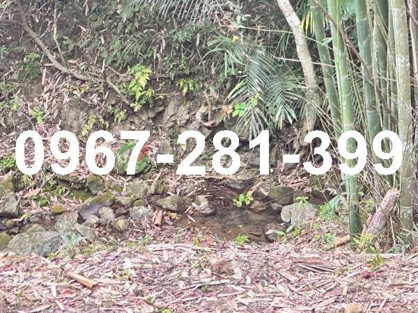 苗栗南庄農地-4