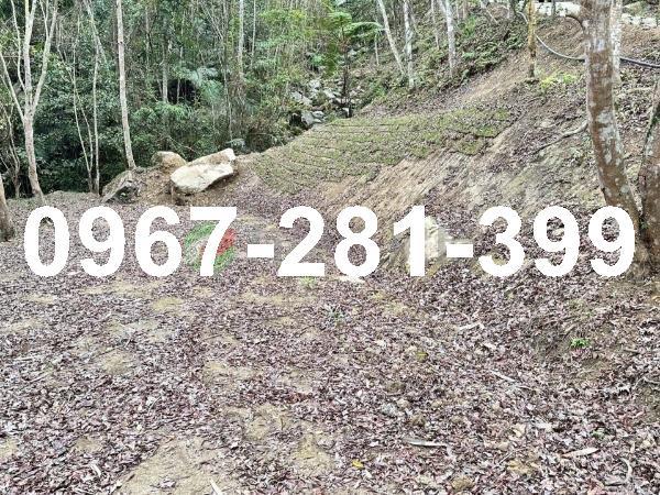 苗栗南庄農地-5