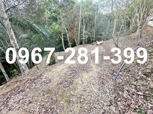 苗栗南庄農地-8